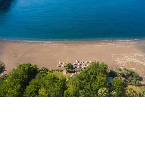 Eden Bungalows and Beach