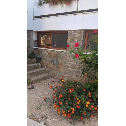Egeria Houses