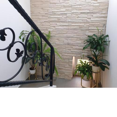 Egri Csillagocska Apartman
