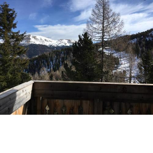 Eisenhut Suite 3