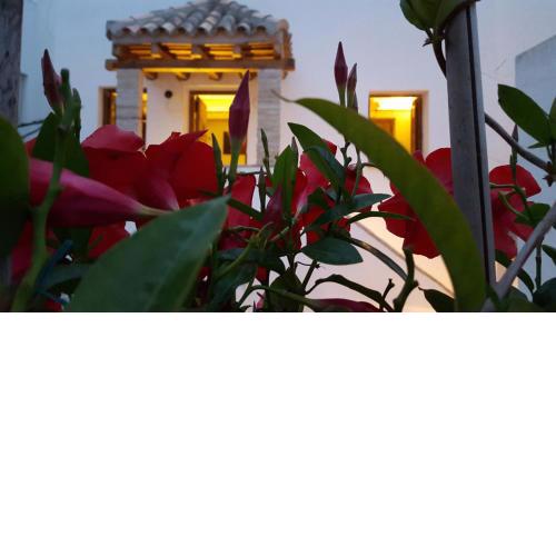 El Arriate de Vejer