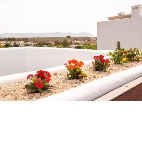 EL BALCON DEL CABO