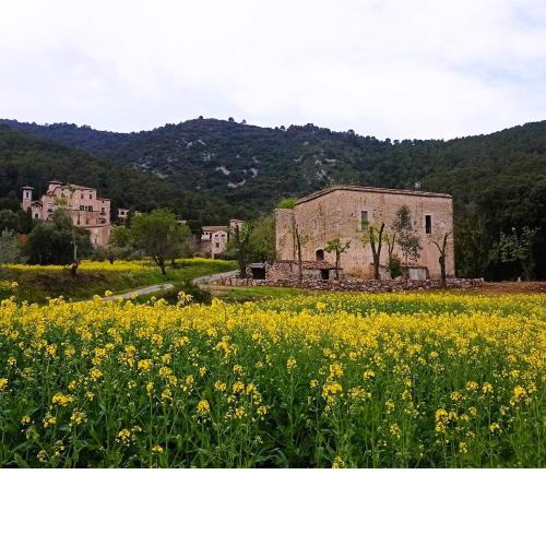 El Castell de Segueró