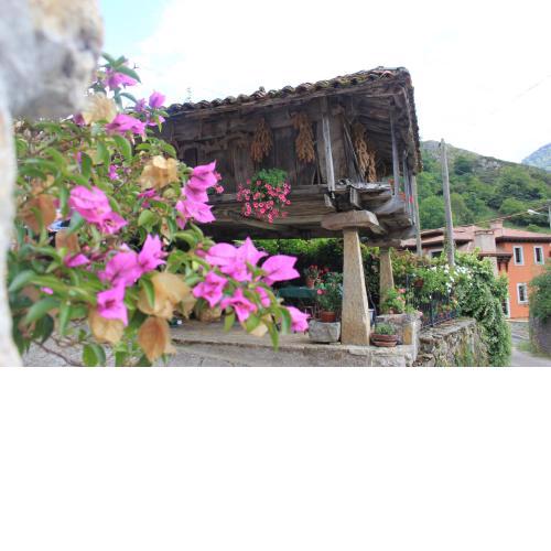 El Colladín