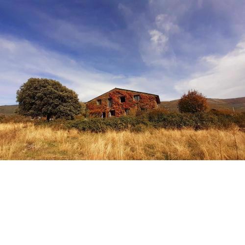 EL CUENTO DE LA ENCINA. Un espacio para sentir