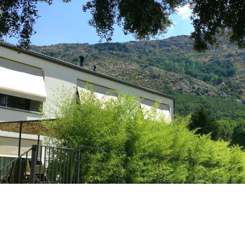 El Hotelito
