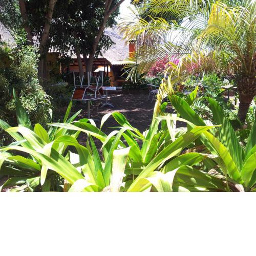 El Jardin