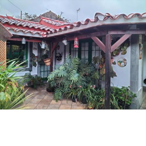 EL LLANETE