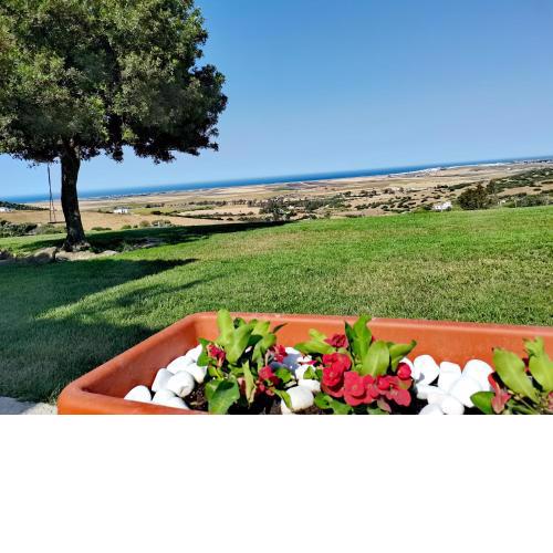 El Mirador de Marina