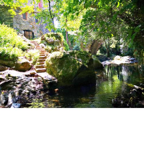 El moli del montseny