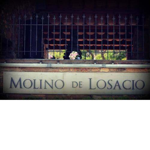 El Molino de Losacio