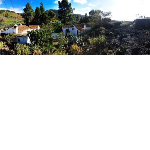 El Oasis