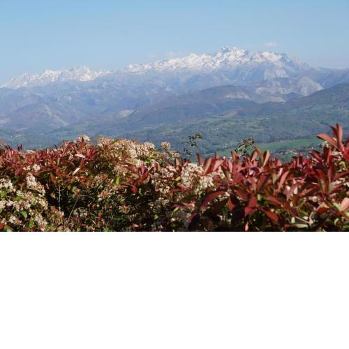El Paraíso de Villar