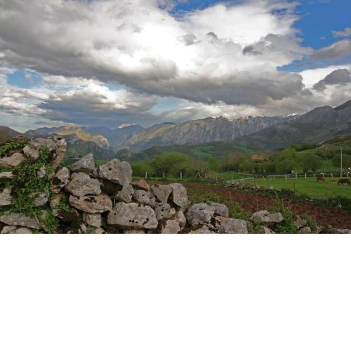El Patín de Monchu