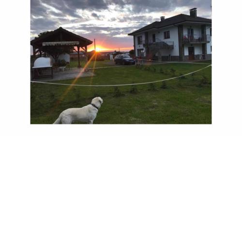 El Rancho Busto - Luarca