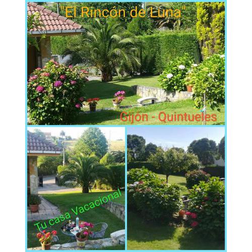 El Rincón de Luna Quintueles-Gijon