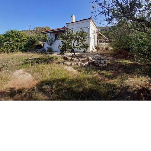 Elafonisos Detached House in Quiet Olive Grove, Starlink Internet & Smart Projector!