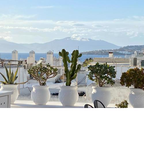 Elaia Luxury Suites Mykonos