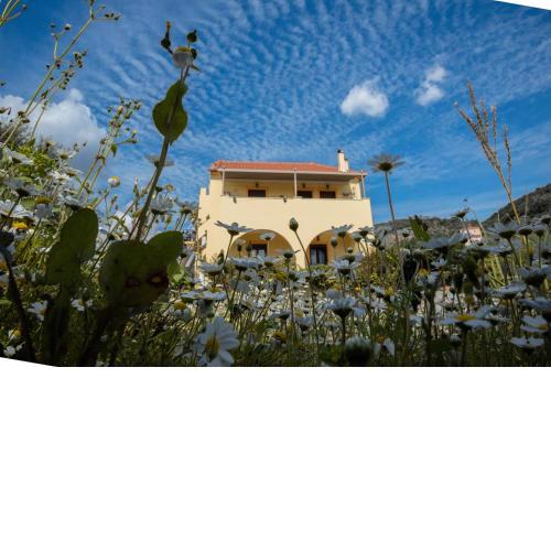 Elaionas Studios