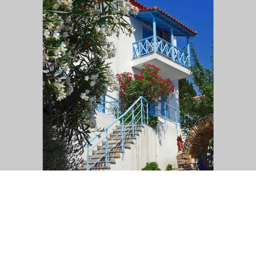 ELECTRA TRADITIONAL HOUSE