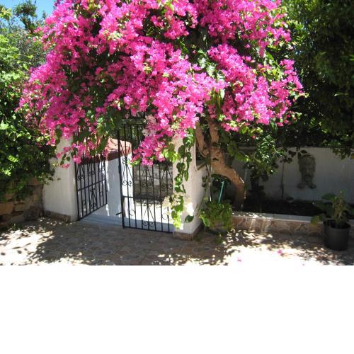 Eleftheria Lindian Studios II