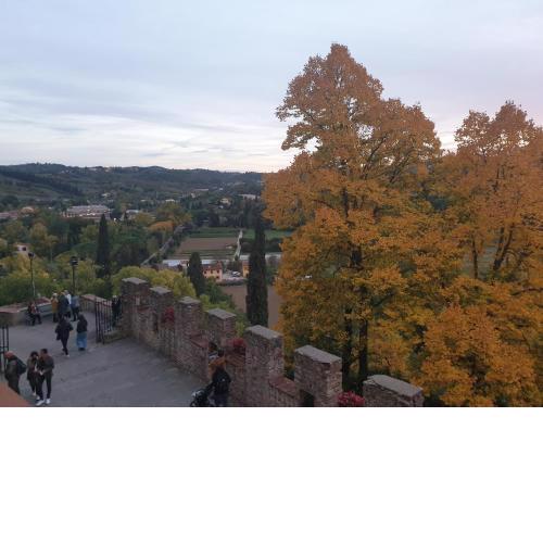 Elegante e spazioso bilocale in zona Certosa (FI)