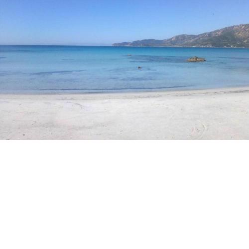 Elegante Villa a 30 m dalla bellissima spiaggia di Campulongu Villasimius
