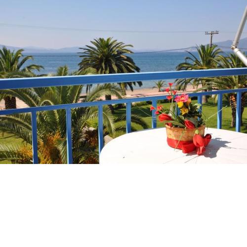 Elena Hotel