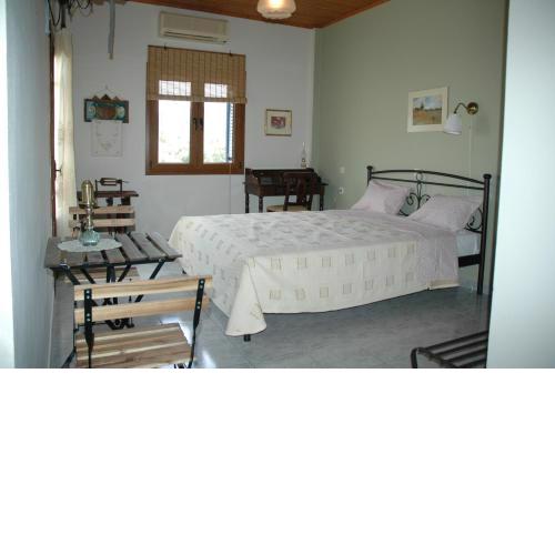 Elenis Olive green Studio