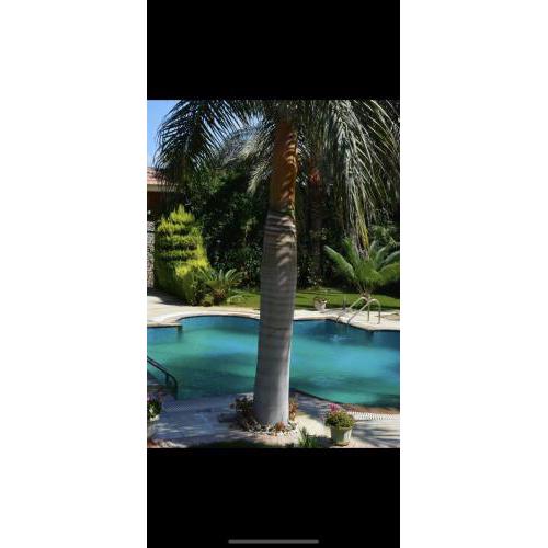 Elhusseiny villa’s