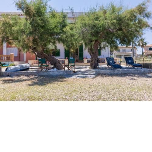 Elisabetta - Alcudia