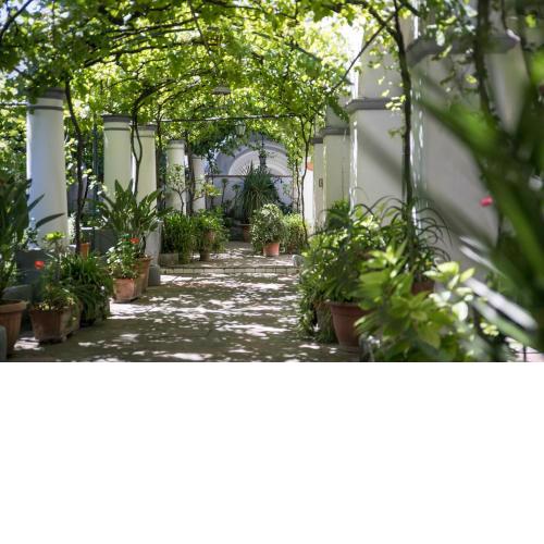 Elisir B&B