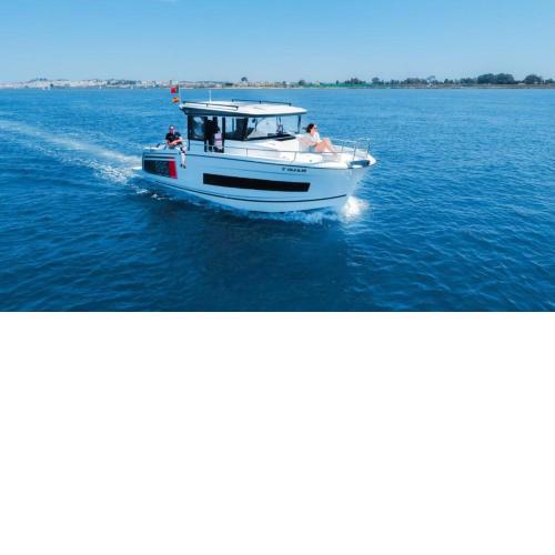 Embarcación Jeanneau Merry Fisher Sport 895 BICHO II