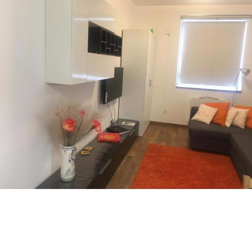 Encantador estudio con dormitorio tipo loft en alquiler en El Viso