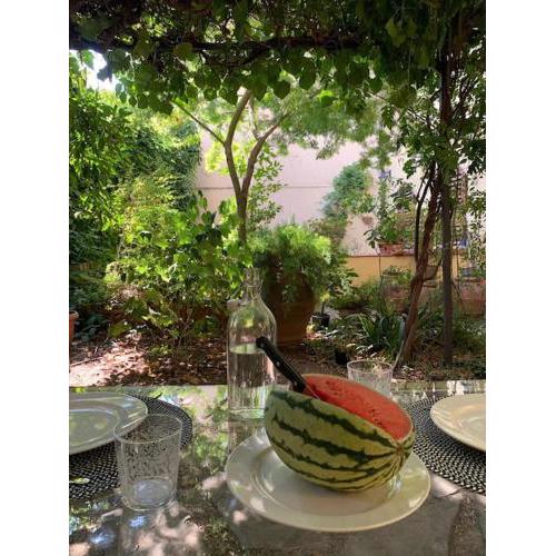 Enchanting Apartment with Patio, Lungarno Firenze