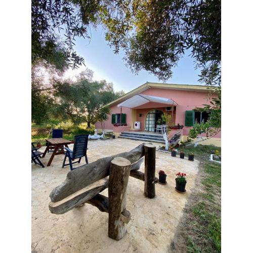 Endless Green: feel free and cozy in nature