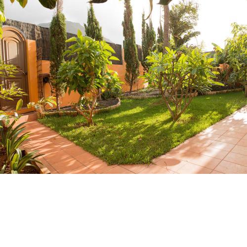 ENERGY GARDEN