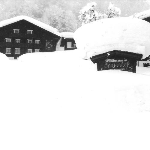 Enzianhof
