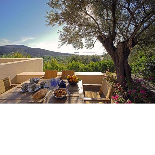 Epidaurus Olive Villa