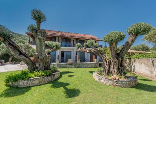 Eptanisos Beachfront Suites Zante
