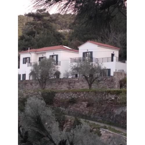 Eri Rooms to Let