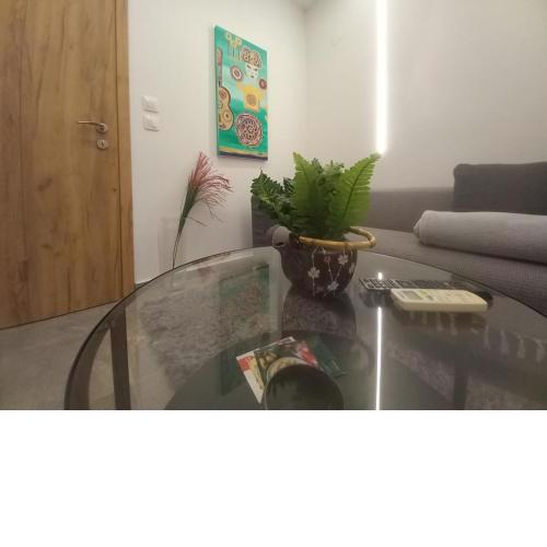 Eros Welcome Stay Downtown Apartment - Explore Center by Foot - Close to Helexpo & University