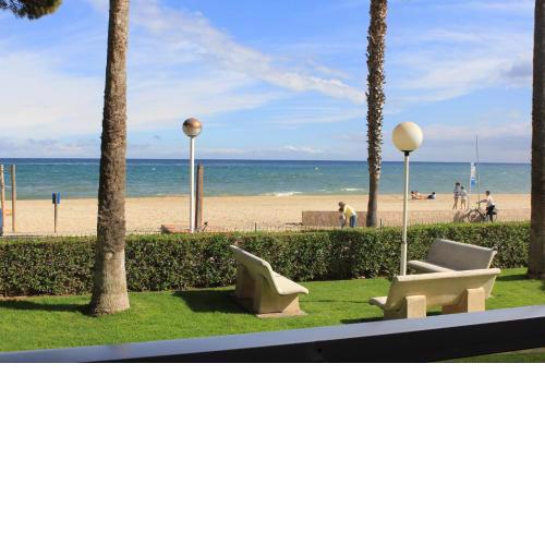 Esquirol-Mar