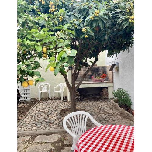 Essenza_2 b&b