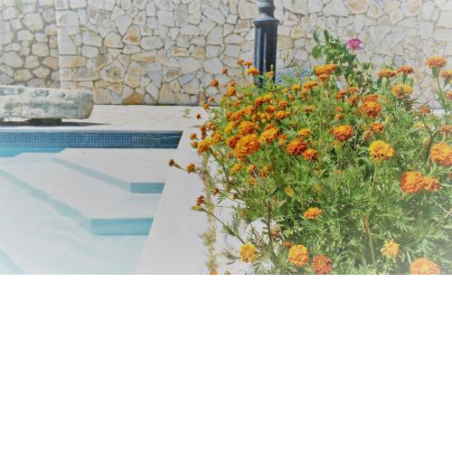 Estate Dafnopanagia Villa Magda