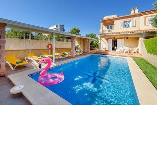 Estrella de mar azul