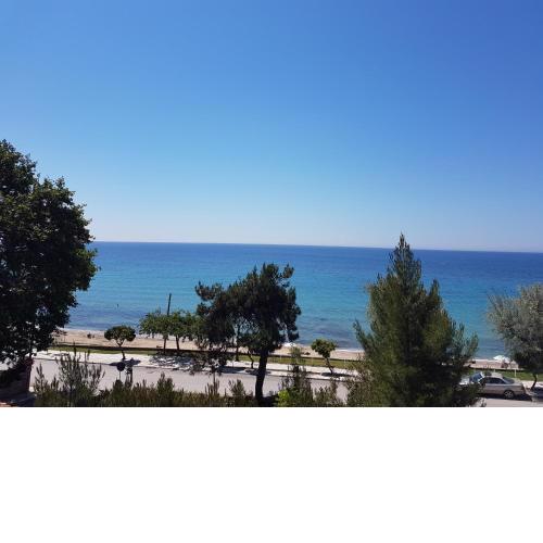Estrella Rooms