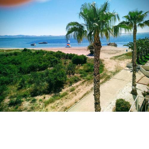 Estudio a pie de playa