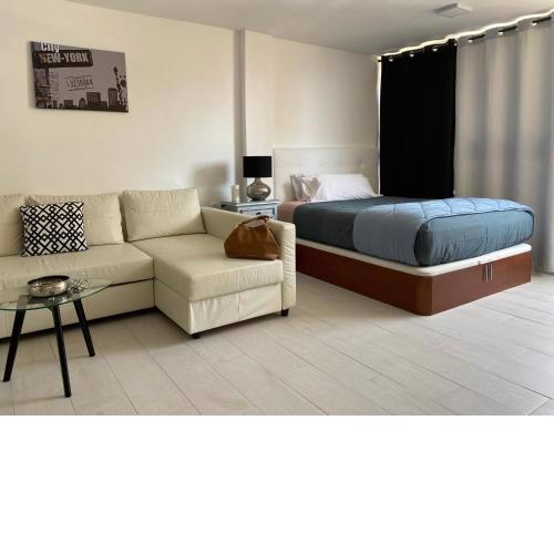 Estudio Calafin 56