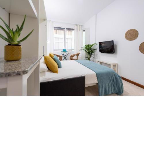 Estudio Canteras I